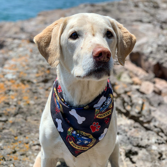 Dog Bandana