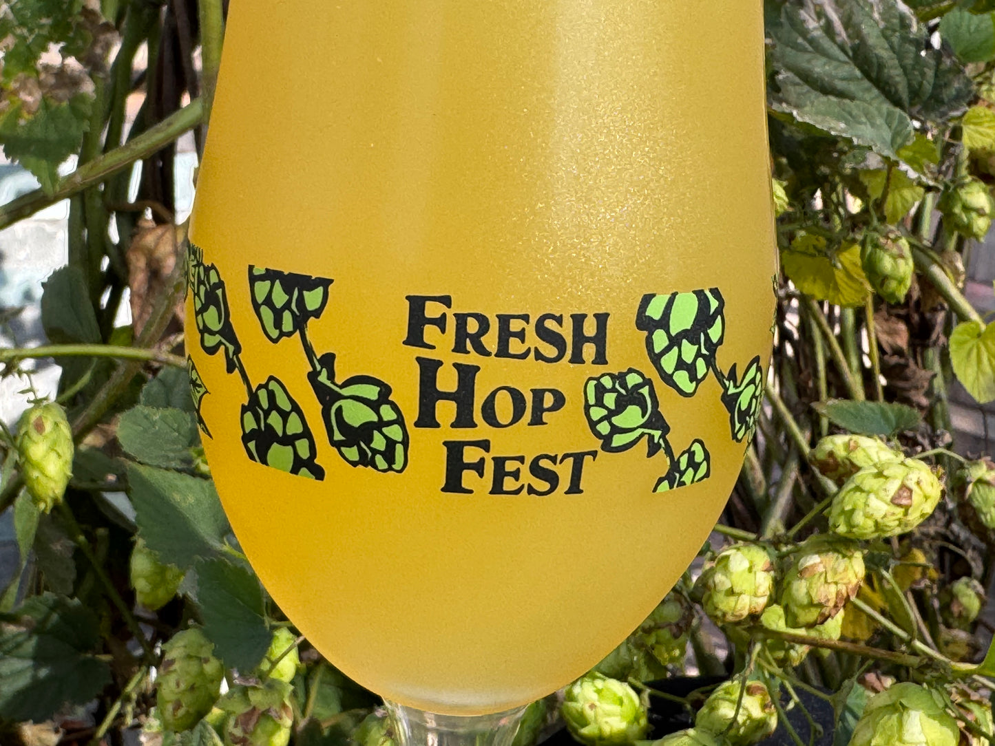 Fresh Hop Bundle