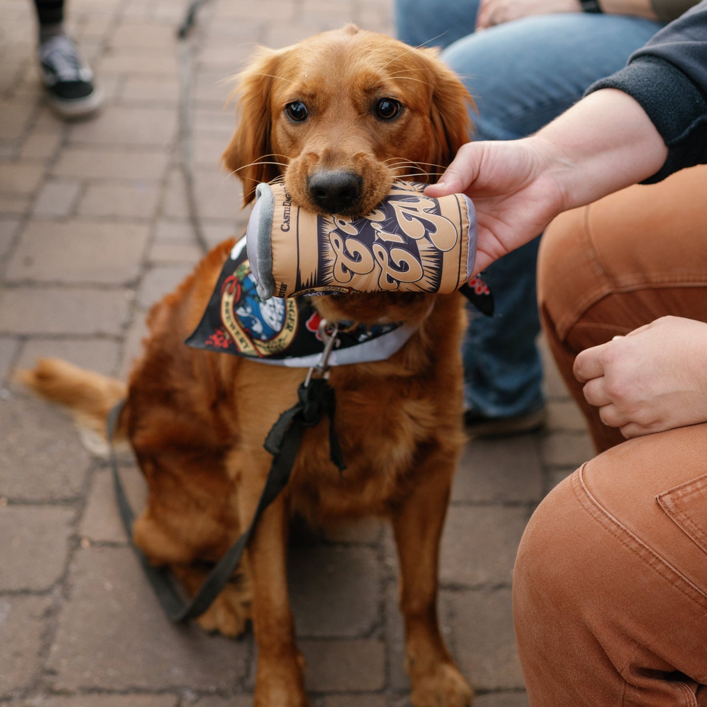 Cream Ale Can Dog Toy